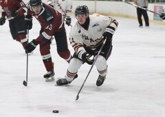 Michael Houlihan, forward, Botany Swarm ice hockey team, NZIHL 2024, jersey 14