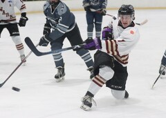 Nathan Hufnagel, forward, Botany Swarm ice hockey team, NZIHL 2024, jersey 7