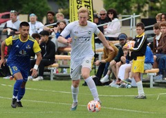 Francis de Vries, Eastern Suburbs FC football player